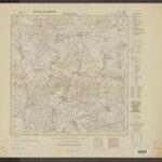 Topographische Karte 1:25.000 (1840) Daenschenburg [1945, Meßtischblatt]