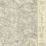 Meßtischblatt 1975 : Liniewo [1941, 1:25.000]