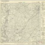 Topographische Karte 1:25.000 (2925) Bispingen  [ca. 1936, Meßtischblatt]