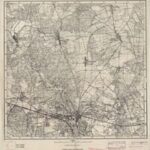 Meßtischblatt 3656 : TORZYM [1947, 1:25.000]