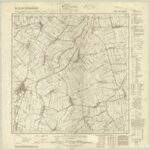 Meßtischblatt 1880 : Neuteich [Nowy Staw] [1:25.000]