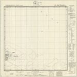 Meßtischblatt 2017 : Insel Neuwerk [1946, 1:25.000]