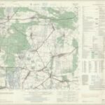 Meßtischblatt 3135 : Leppin [1945, 1:25.000]