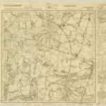 Meßtischblatt 3478 : Paniewek [1936, 1:25.000]