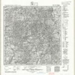 Meßtischblatt 1876 : Groß Paglau [Pawlowo (Gdansk)] [1:25.000]