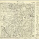 Meßtischblatt 3109 : Lathen [1950, 1:25.000]