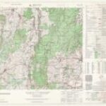 Meßtischblatt 8130 : Bidingen [1950iger, 1:25.000]